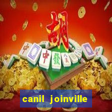 canil joinville vila nova